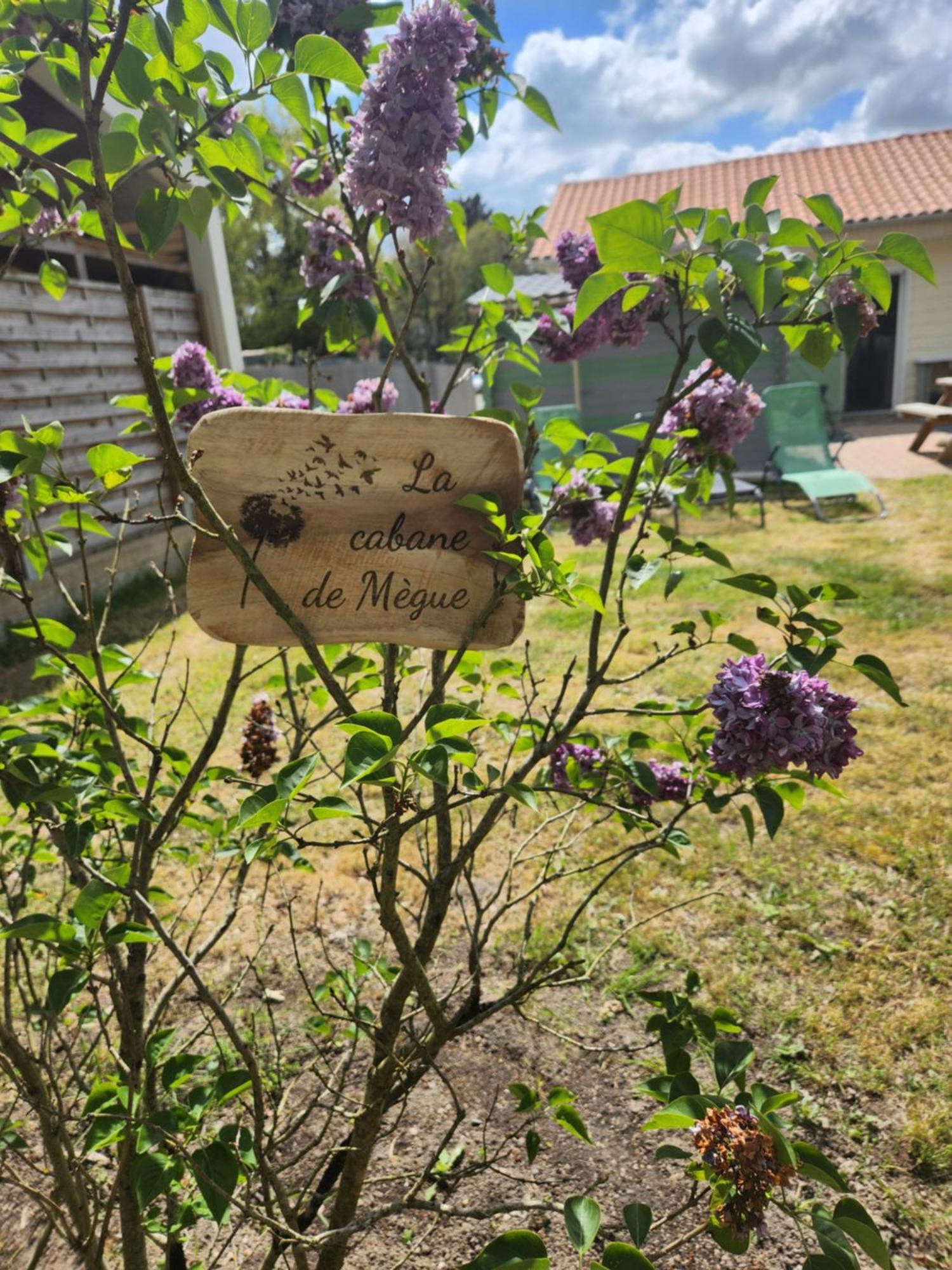La Cabane De Megue Froidfond Zewnętrze zdjęcie